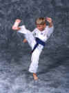 Matt's Tae Kwon Do Studio Photo 1.jpg (50679 bytes)