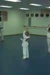 Tae Kwon Do.jpg (37741 bytes)